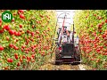 65 Most Satisfying Agriculture Machines and Ingenious Tools #1