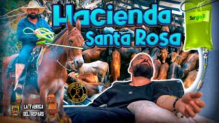 #HACIENDA SANTA ROSA | ME PUSIERON UN SUERO ANTES DE IR A #VACUNAR AL #GANADO Y ESTA ES LA RAZÓN...