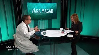 Magexperten: "IBS kan drabba vem som helst" - Malou Efter tio (TV4)