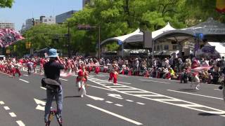 ひろしまフラワーフェスティバル(2015/5/5)「松山よさこい風舞人」