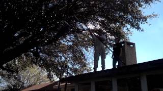 Canopy Raising, Tree Limb Pruning off house in Gulfport