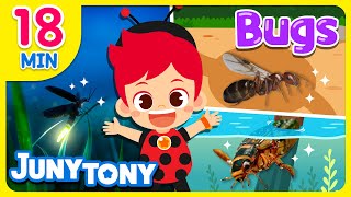What Is Your Favorite Insect? | Bugs ABC, Mosquito Song +18minutes | Insect Songs for Kids |JunyTony