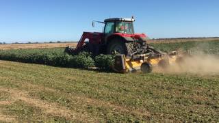 Muthing Mulcher MU-M600 - Southern Cross Ag Machinery