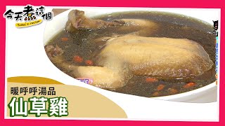 【每日一湯】仙草雞 爽口不油膩｜今天煮這個