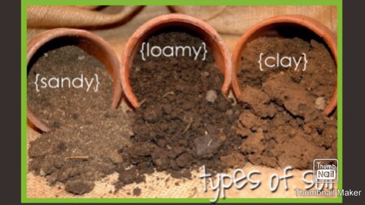 Best Soil Type For Gardening ! - YouTube