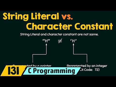 What are the literal constants?