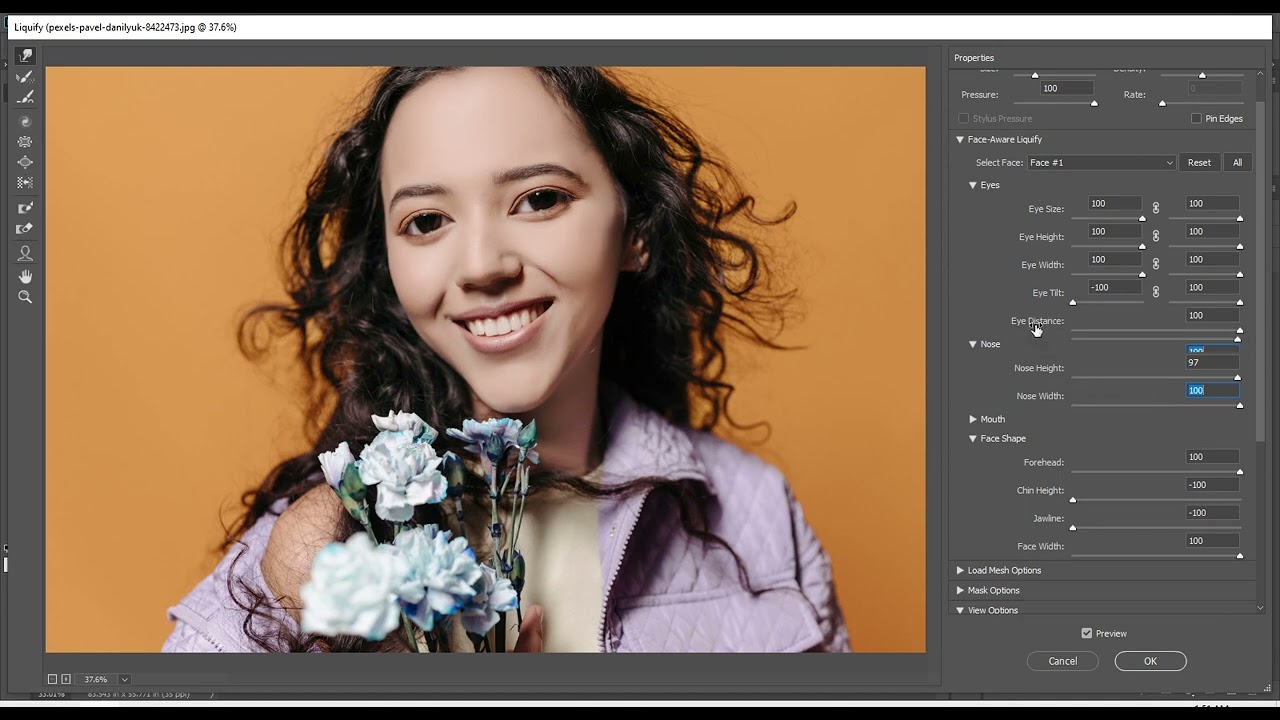 Liquify Tool All Options Use Face Aware Liquify - Adobe Photoshop For ...