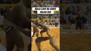 Balla gaye vs bombardier #luttesénégalaise #lutte #luttetv #ballagaye2