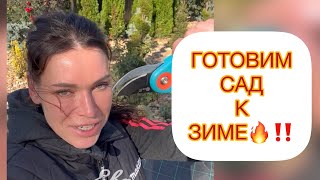 ✅ГОТОВИМ САД К ЗИМЕ🔥‼️КАК СВЯЗАТЬ⁉️ ОБРЕЗАТЬ⁉️УКРЫТЬ⁉️ ответила на все вопросы