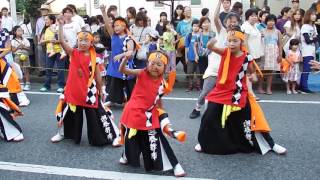 総踊り [SUGGOI WORLD！]@船橋市民祭り2016・二和向台会場