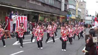 三石なるこ会　～よさこい東海道2010・本祭(アーケード審査会場)