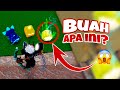 Dapat BUAH LANGKA!😱Berburu Buah Blox Fruits