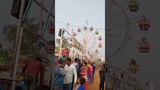 suata mela#shorts #youtubeshorts #shortsvideo #shortvideo #youtubeshortseo #youtubshorts