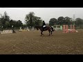 parwood combined training 80 cm