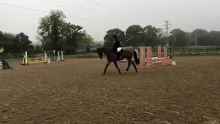 Parwood combined training 80 cm