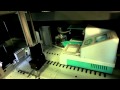 Colony picking - fully automated screening of fungi