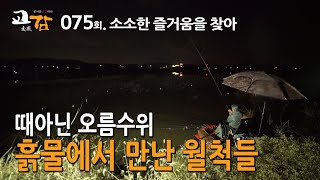 이스케이프 [교감TV] 75회 - 서산 성암지 겨울 붕어들  / 소소한 즐거움, 겨울 월척들을 만나다