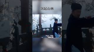 武当道长陈师行演绎剑韵精神 %陈师行