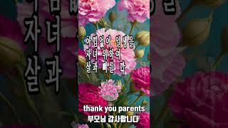 어버이날#부모님#감사합니다#어버이 은혜#thank you parents