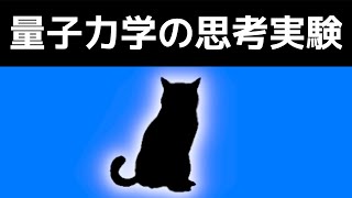 【挑戦】10分でわかるシュレーディンガーの猫