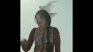 Masakali ❣️❣️❣️ Evergreen hit song  ❤️👍 Sonam Kapoor ❣️ Abhishek Bachchan ❣️ whatsapp status video