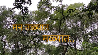 Man Talyat Malyat Marathi Kavita | मन तळ्यात मळ्यात.. | कविता | संदीप खरे | सलील कुलकर्णी | कविता ❣️