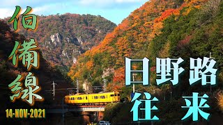 【鉄道のある風景】JR伯備線 色づく峰々 日野路往来 (14-Nov-2021) Landscape with Railways JAPAN