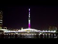 白鬚橋　隅田川　東京スカイツリー　ライトアップ　桜　『舞』　美しい桜の花びらが舞う　隅田川　tokyo skytree light up sakura　2021年　3.01