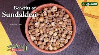 சுண்டக்காயின் மருத்துவ குணம்... | Benefits of Sundakkai (Turkey Berry) | Arivom Arogyam | EP 26