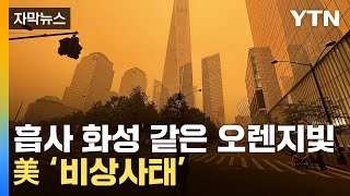 [자막뉴스] '나가지 말라' 경보 발령...美 '통제불능' 산불 직격탄  / YTN