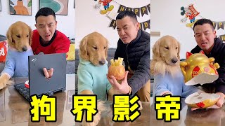 狗界影帝！严重怀疑这狗是人扮的，竟会说人话？【起错名的四毛】