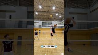 【バレー】9人制バレー練習中#shorts #volleyball