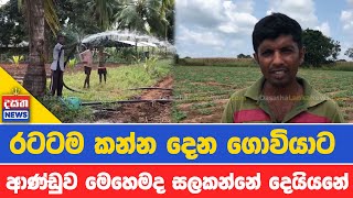 භූමිතෙල් මිල නිසා ගොවිතැන අත්හරින ගම්මු