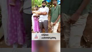 ചക്കക്കൊമ്പൻ ജൂനിയറോ? പാലക്കാട് ചക്ക പിടിയിലൊതുക്കി കൊമ്പൻ..