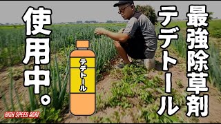 【最強農薬】手強い雑草にはテデトールに限る。