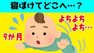 【2本立】無意識に○○に引き寄せられる赤がかわいすぎるｗ＆息子のヒーローポーズがどれも同じで面白かわいいｗ【2chほのぼの】【ゆっくり解説】