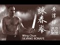 Wing Chun Kung Fu Compilation Silvano Bonafe