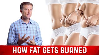 How Fat Gets Burned? Science Of Fat Burning Simplified – Dr. Berg
