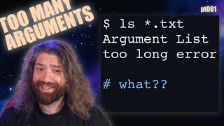 Bash "Argument List Too Long" - What is this error and how to fix it! You Suck at Programming #061