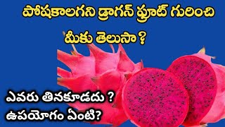 ||dragon fruit health benefits || చిన్నపిల్లలు ఈ పండు తింటారా||రుచి ఎలా ఉంటుంది||ఎక్కడినుంచివచ్చింది