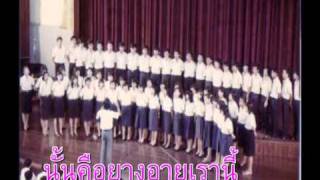 จามจุรีศรีจุฬา by CU Chorus รุ่น 1 - 12