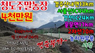 청도땅매매387 운문면 보전관리지역 답1,127㎡(341P) 4천만원 지적도상 도로접 28m 구간 차량진입불가 건축불가 2차선70m 농지원부용 청도주말농장 #청도부동산 청도농지매매