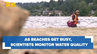 As King County beaches get busy, scientists monitoring water quality