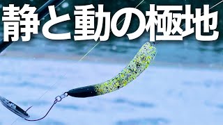 早巻きのえさにょろ、遅巻きのりばにょろで大寒波のトラウトを釣る！エリアトラウト】【管理釣り場】【イケクラ　えさにょろ　りばにょろ】#PR