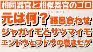 【相同器官と相似器官の覚え方】ジャガイモとサツマイモのイモの語呂合わせ　サボテンのトゲとエンドウの巻きヒゲの語呂合わせ　生物の進化　ゴロ生物