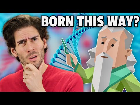 Are personalities genetic?