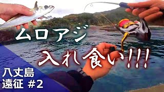 【サビキ釣り】離島のサビキは一味違う！【八丈島遠征#2】