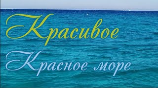 Прекрасный Египет и самое красивое Красное море💦 Видео для сна✨