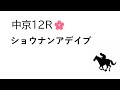 【競馬】中山金杯　京都金杯　予想　2023年1月5日推奨レース＆推奨馬