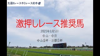 【競馬】中山金杯　京都金杯　予想　2023年1月5日推奨レース＆推奨馬